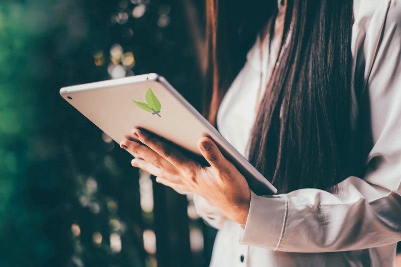 kkp-nachhaltigkeit_teaser